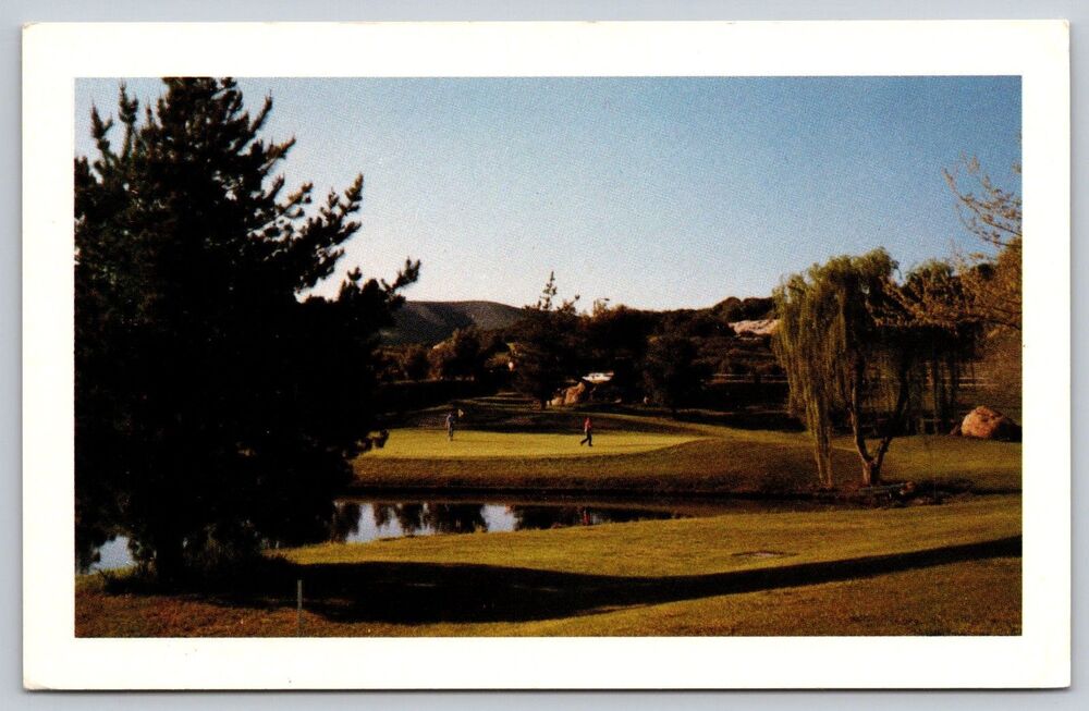 Vtg Postcard San Vicente Country Club Golf Course Ramona California CA Unposted